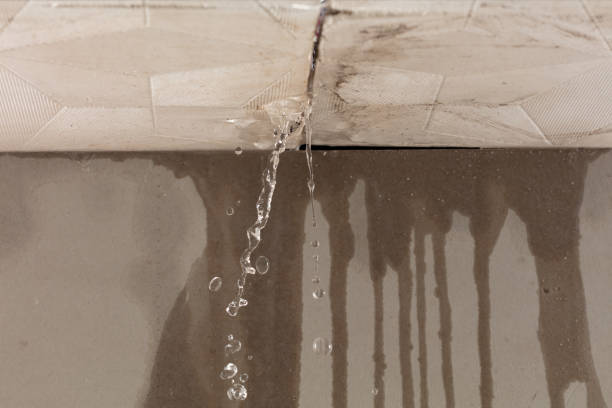 Professional Water Damage Inspection technician working in Granville, IL